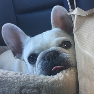 Meet your Posher, Sarah